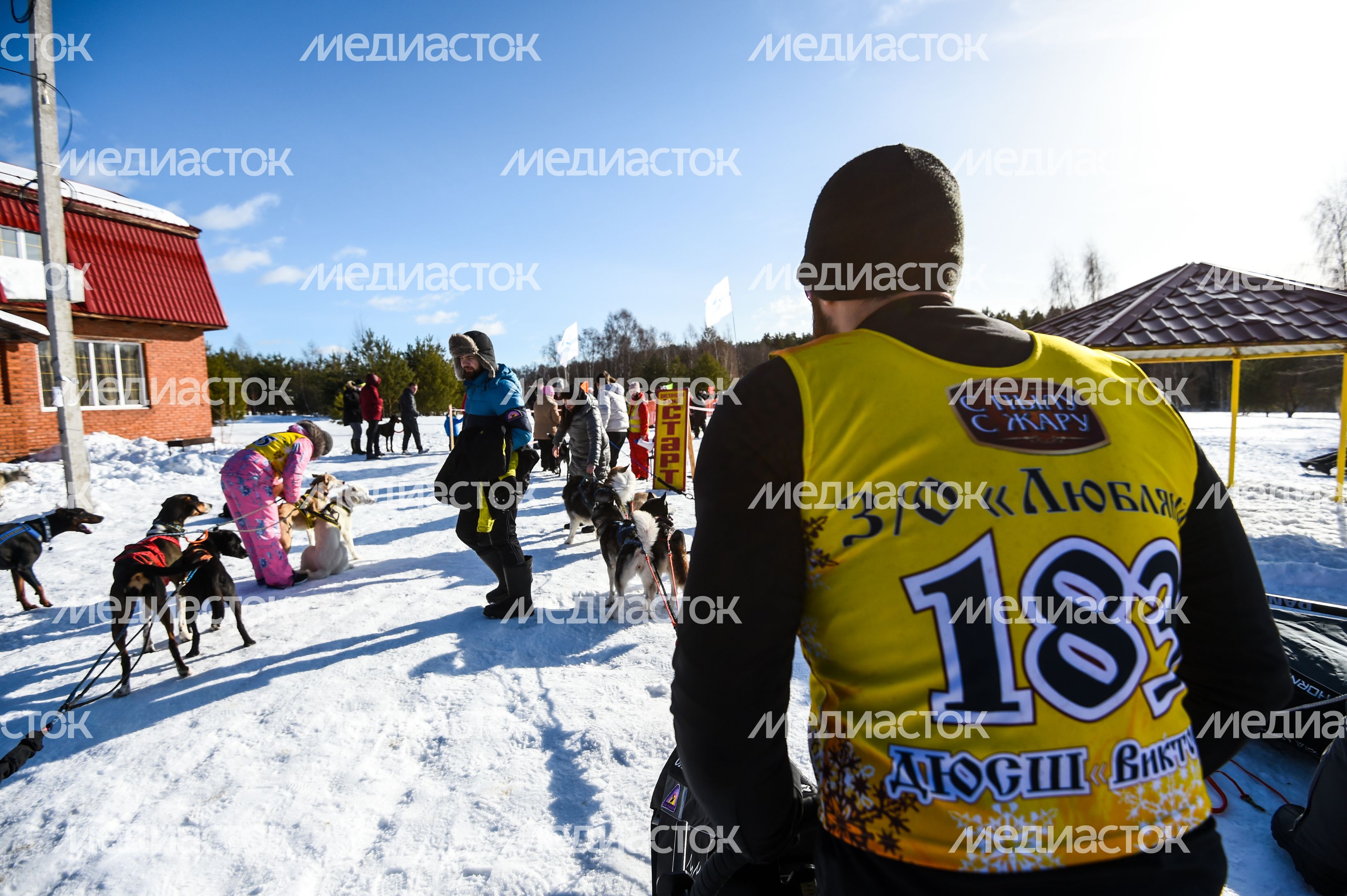 Гонки на собачьих упряжках Зов предков