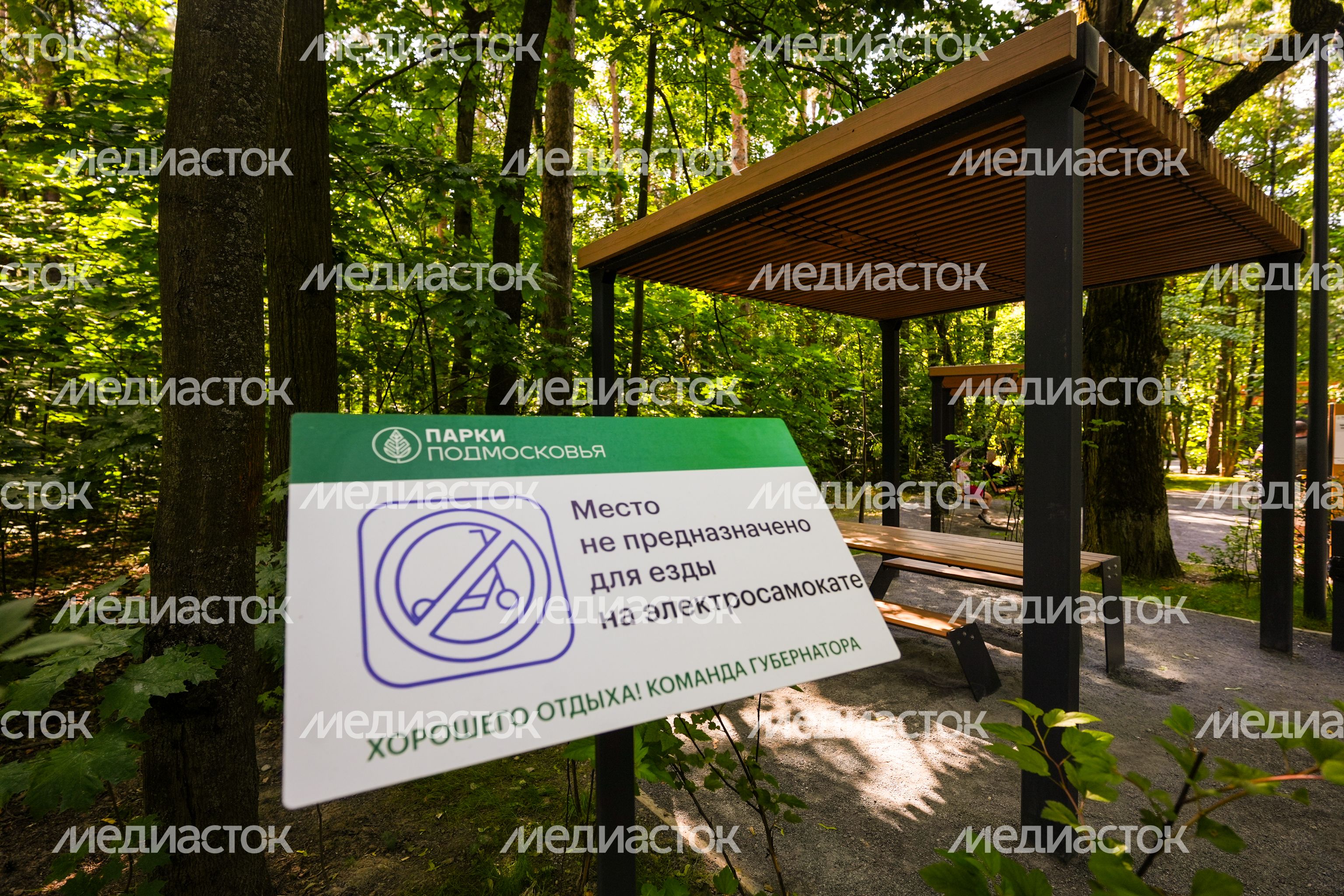Лесопарк "Чемпион" в Дзержинском