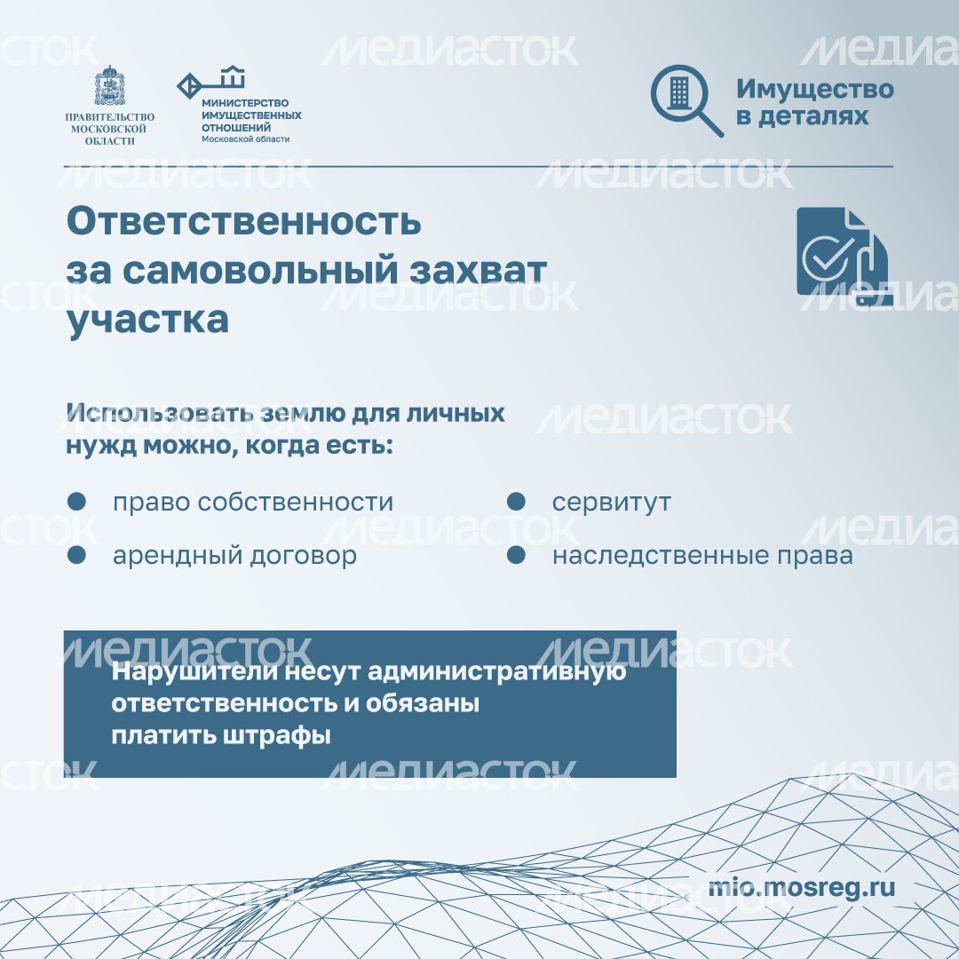 Имущество в деталях. Самозахват земли