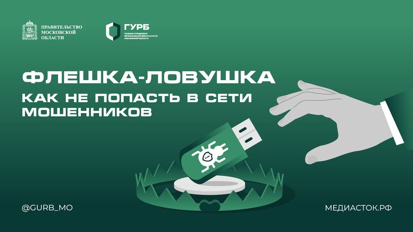 Флешка-ловушка горизонталь 01