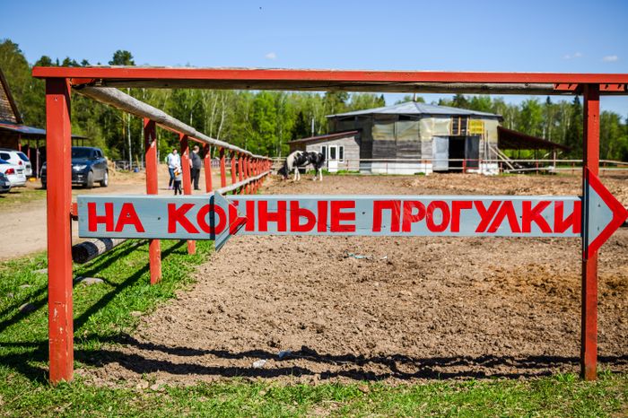 Конноспортивный клуб «Баллада» в округе Солнечногорск