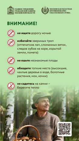 Как подготовиться к походу в лес вертикаль 09