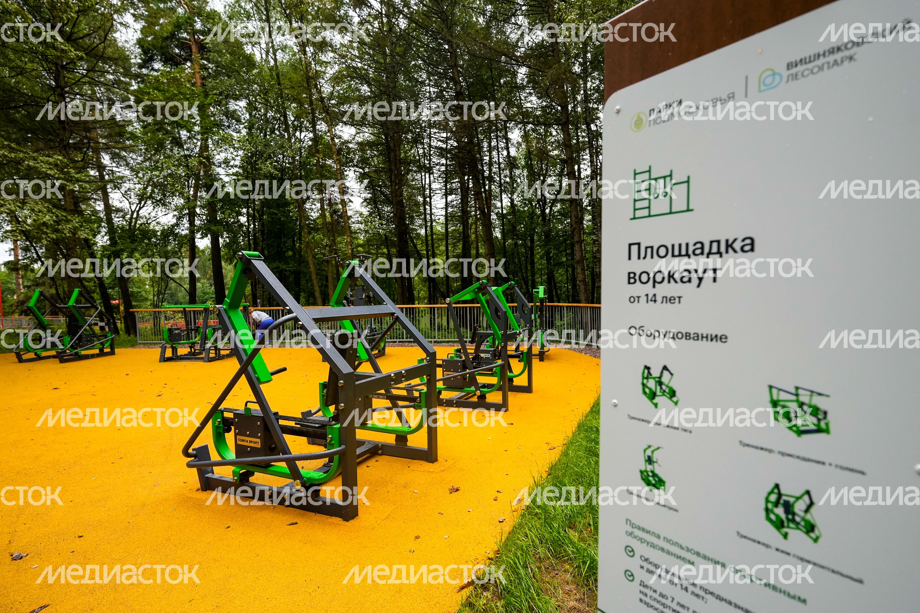 Второй этап благоустройства Вишняковского лесопарка стартовал в Балашихе Второй этап благоустройства Вишняковского лесопарка стартовал в Балашихе