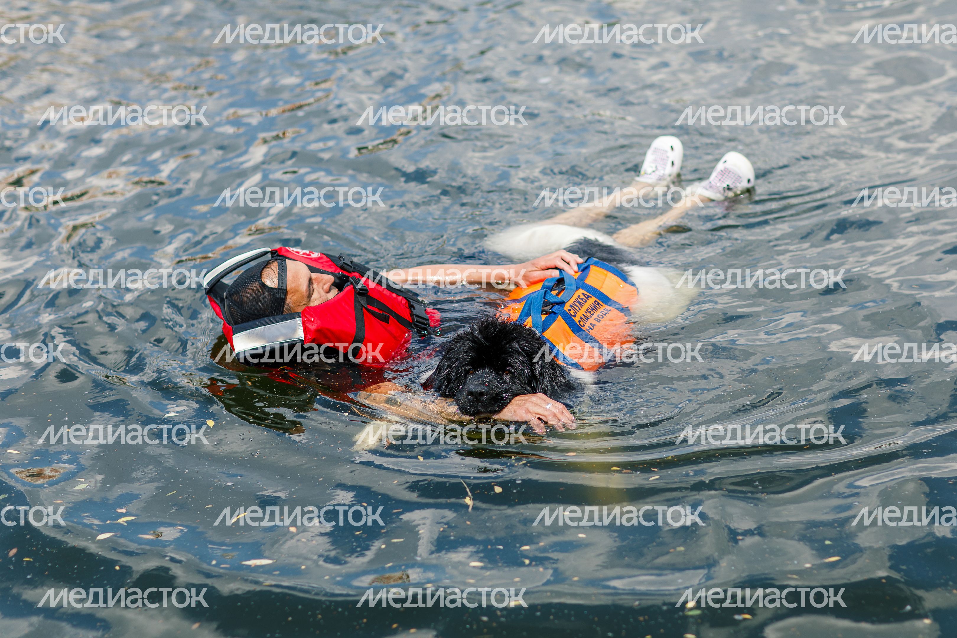 Фестиваль водных видов спорта "Вода для всех" прошел в Красногорске