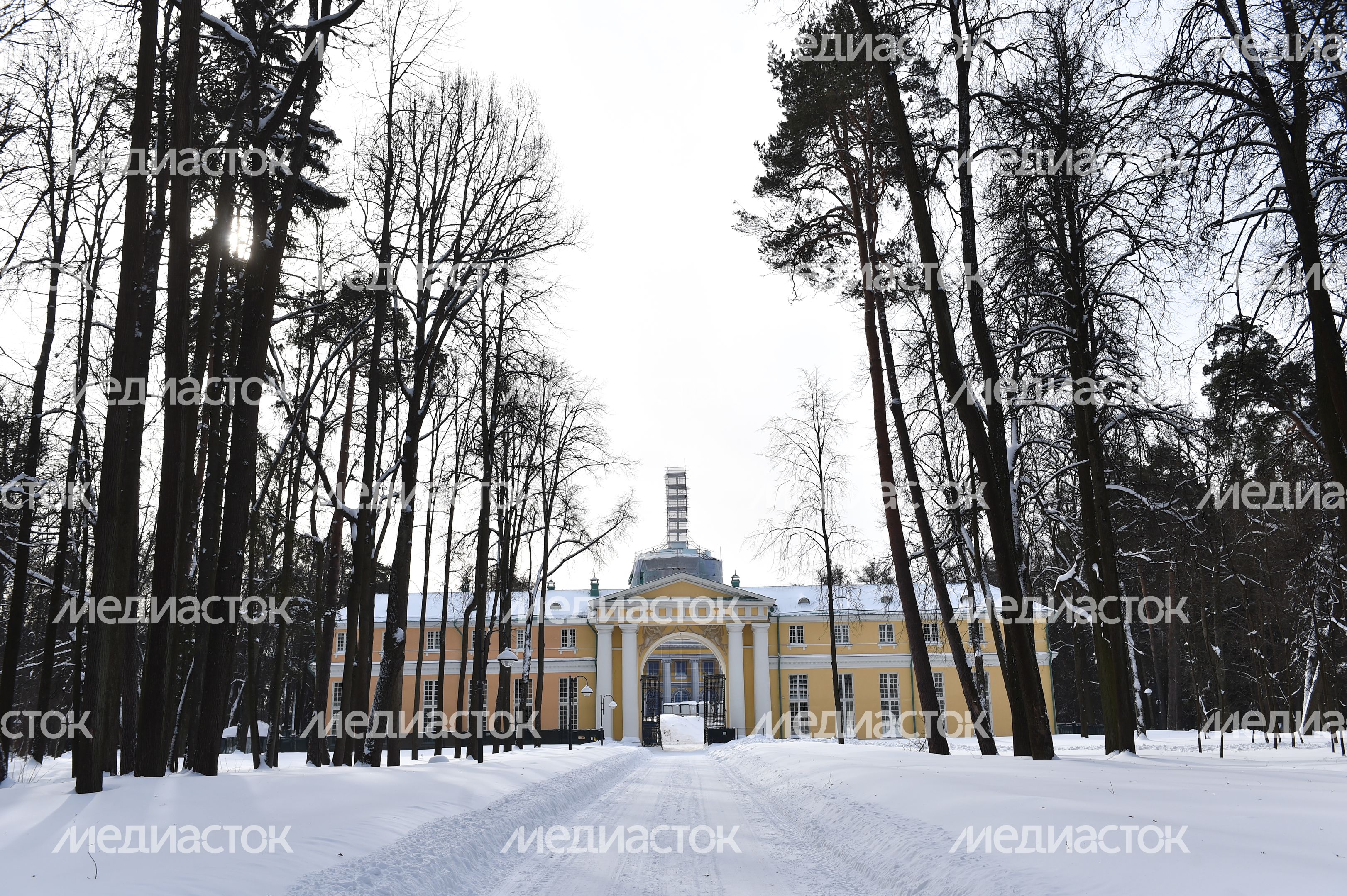 Подготовка к лыжной гонке в музее-усадьбе «Архангельское»