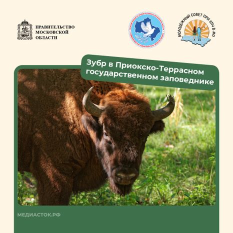 Путешествие по МО квадрат 04