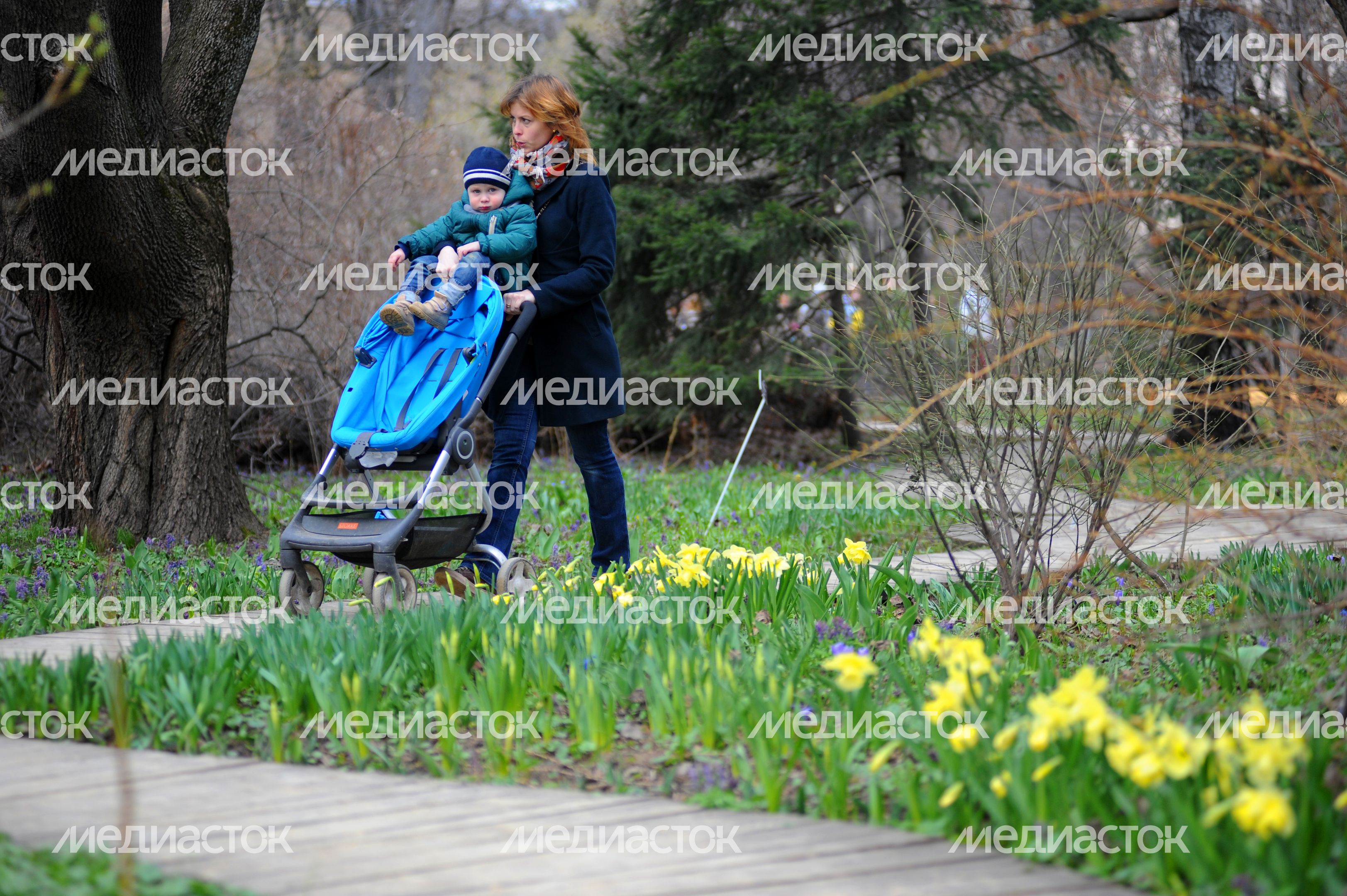 Фестиваль цветов в «Аптекарском огороде» Фестиваль цветов в «Аптекарском огороде»