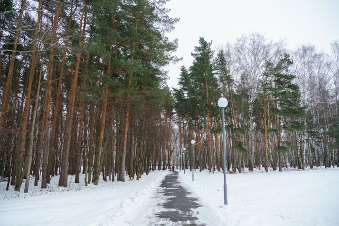 Кашира. Городской парк. Зима
