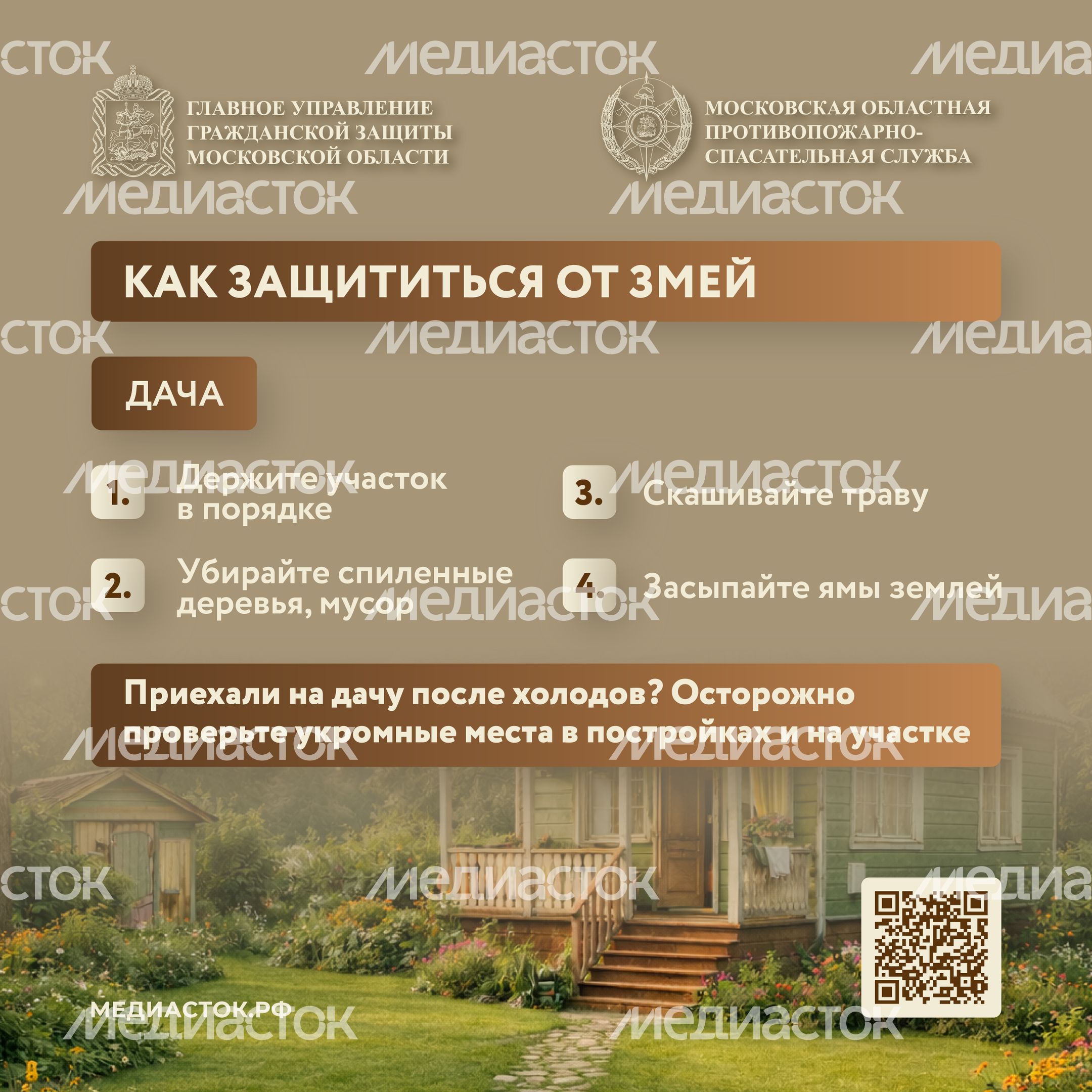 Гадюки квадрат 04 Гадюки квадрат 04