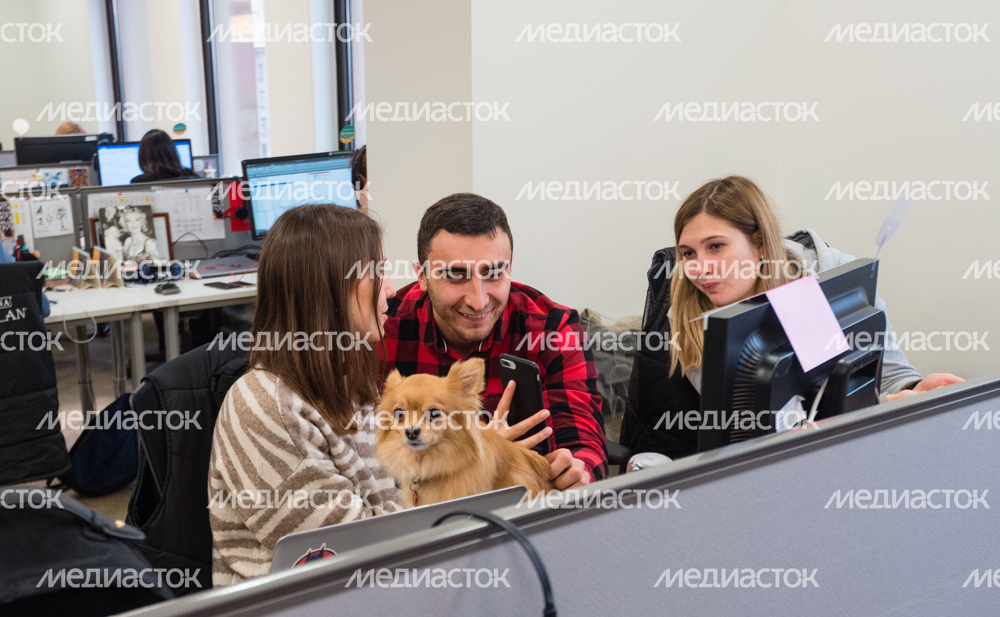 Pet‑friendly офис Purina