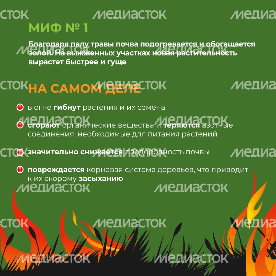 комлесхоз_пал_кв_2.jpg