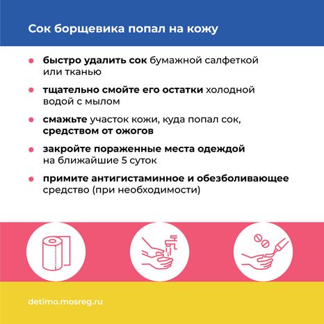Квадрат_Борщевик Сосновского_06.png