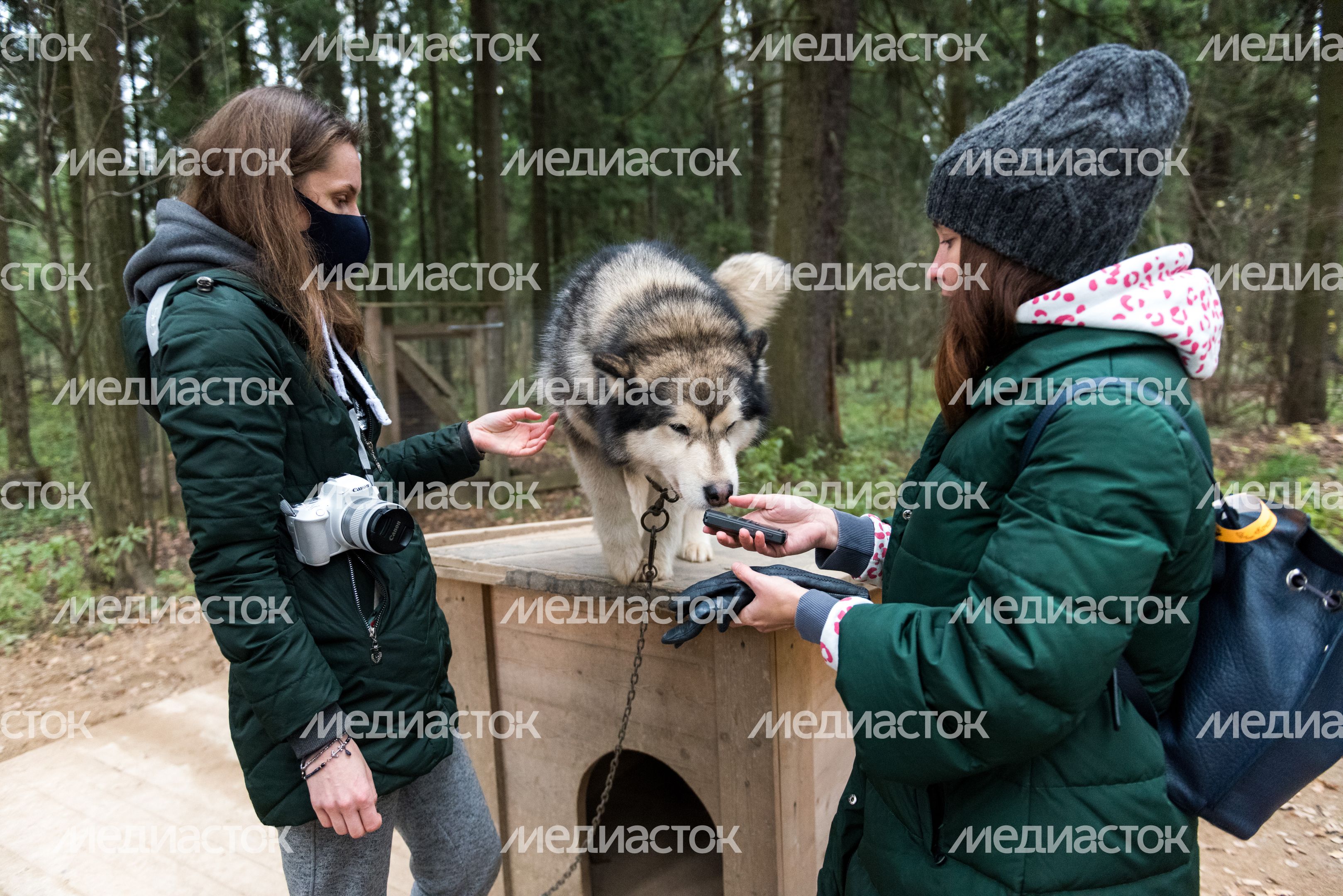 Этнопарк «Кочевник»