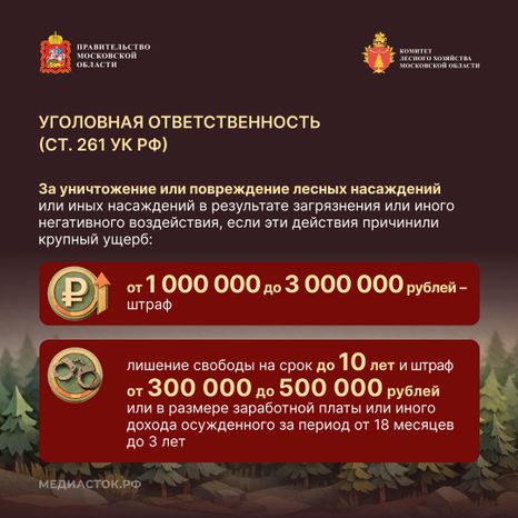Санитарная безопасность в лесах квадрат 05