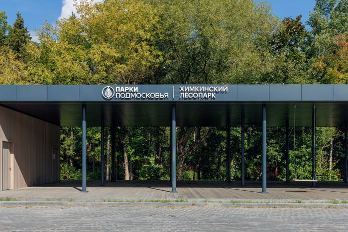 Химкинский лесопарк летом