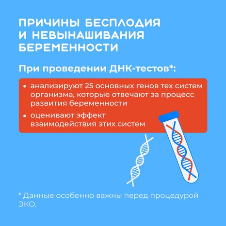 ДНК-квадрат-07