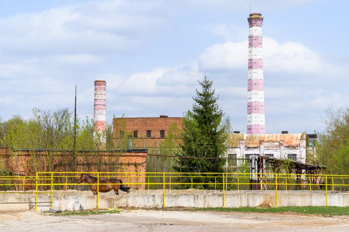 Парк «Энергомаш» в Чехове