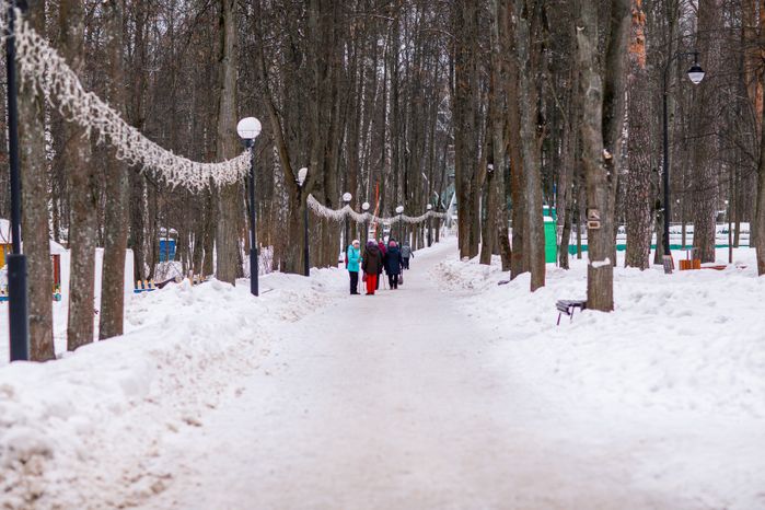 Красногорский городской парк зимой