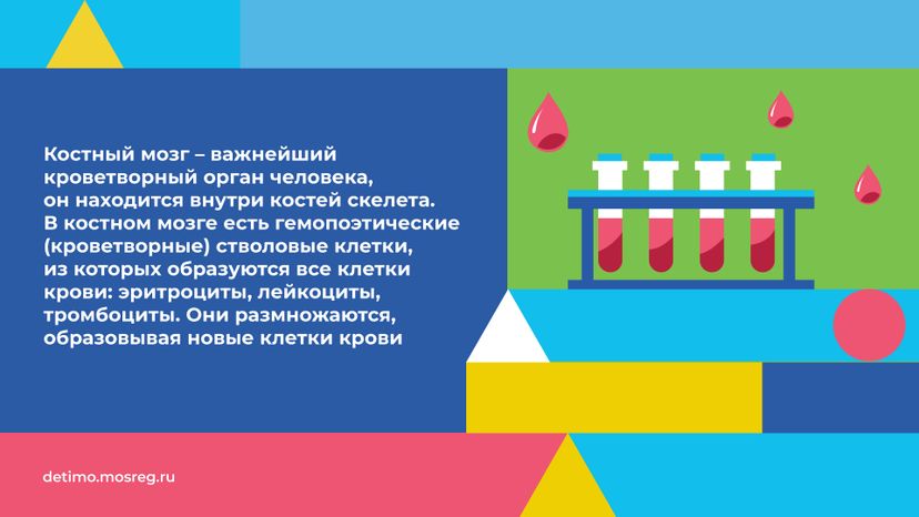 как_стать_донором_костного_мозга__горизонталь_03.jpg