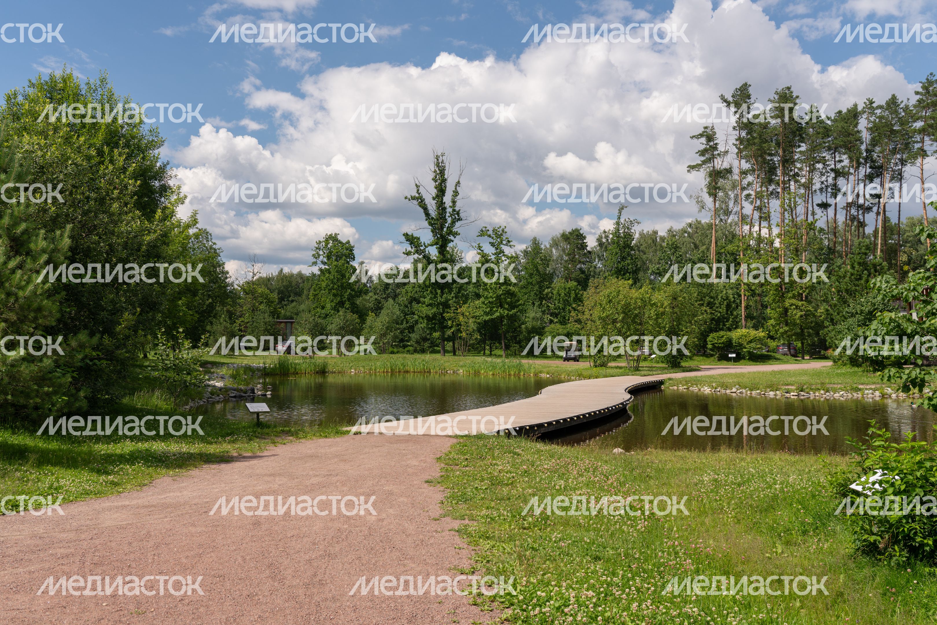 Мещерский парк летом