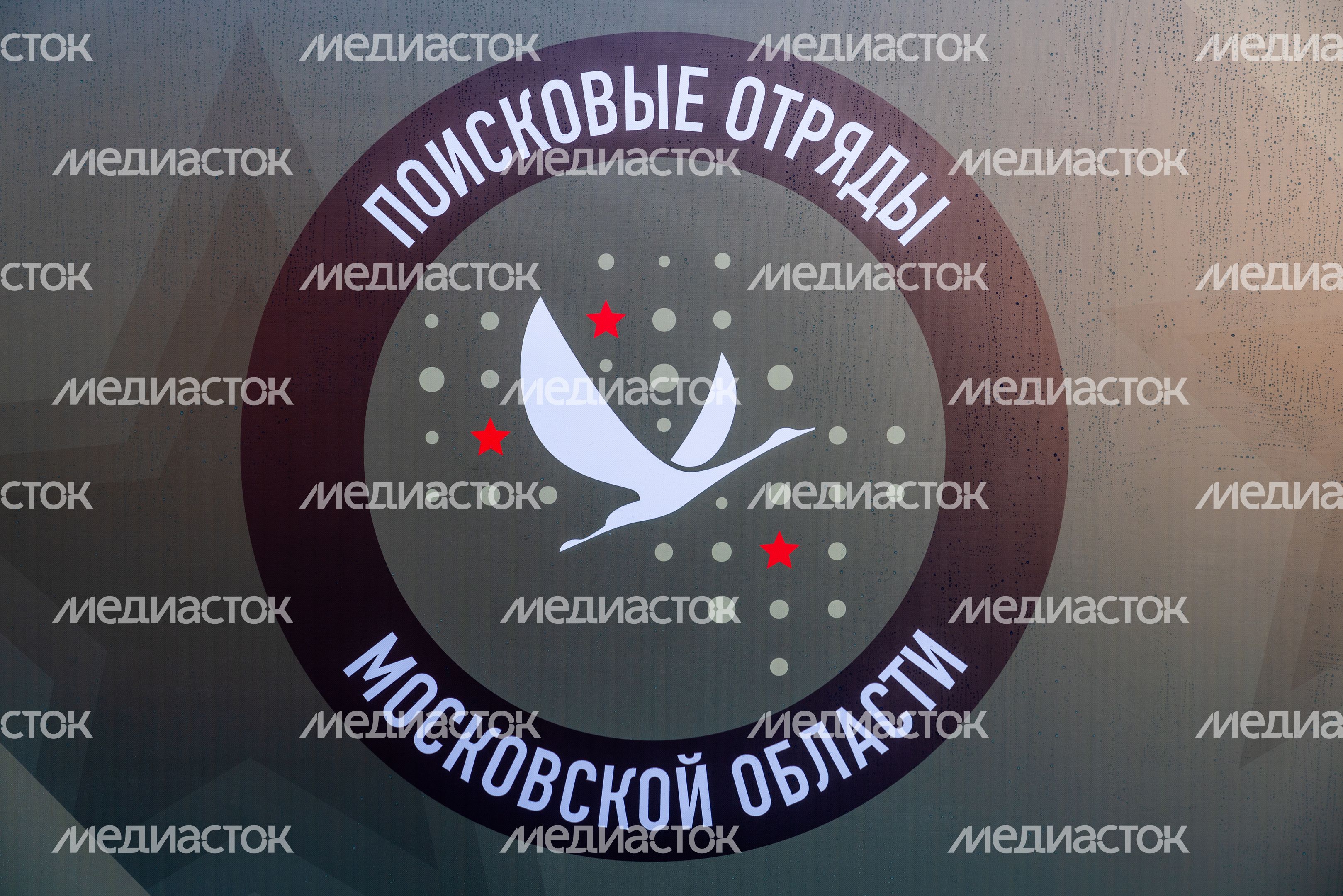 Шеврон поисковых отрядов Московской области Шеврон поисковых отрядов Московской области