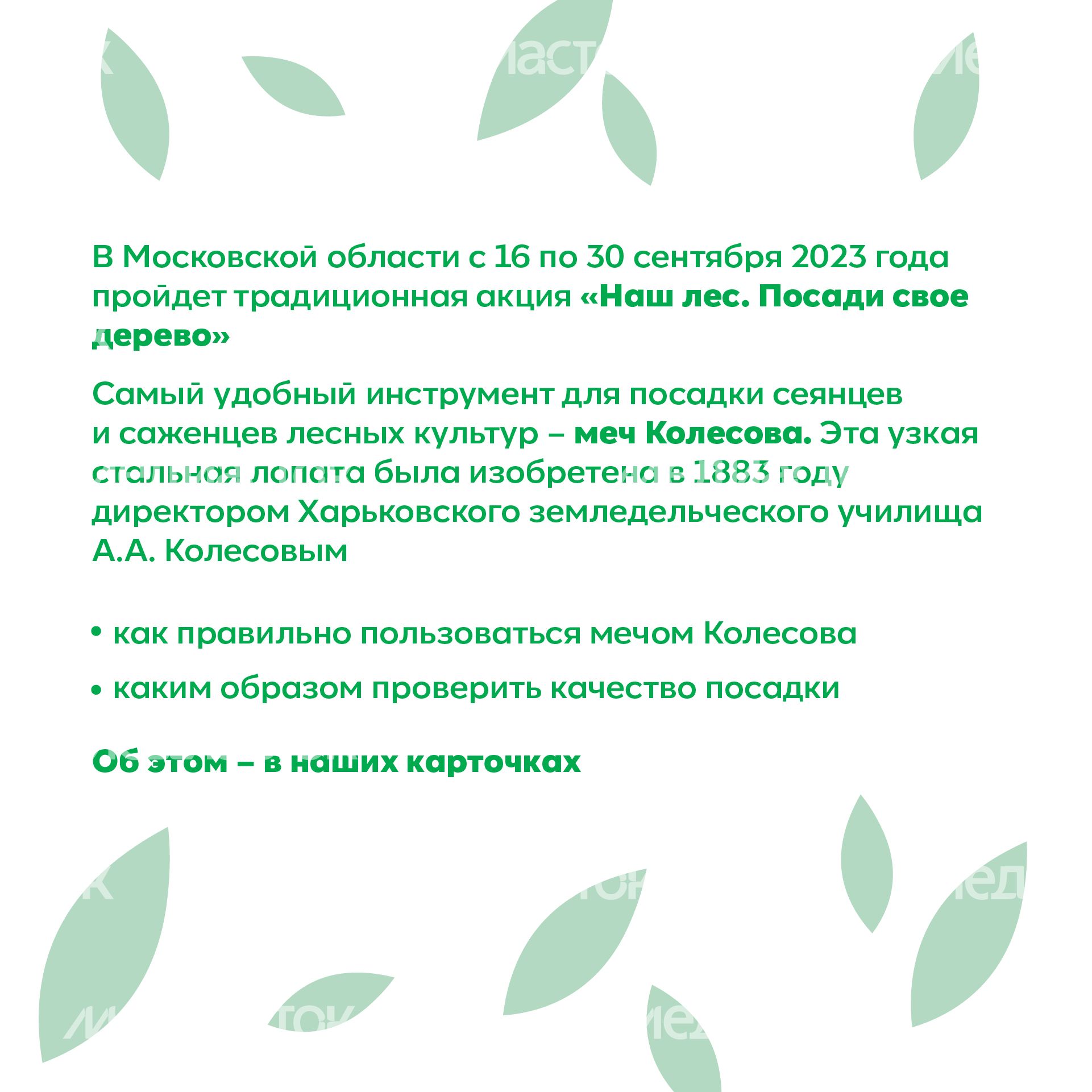 Квадрат_ меч Колесова_02-100.jpg