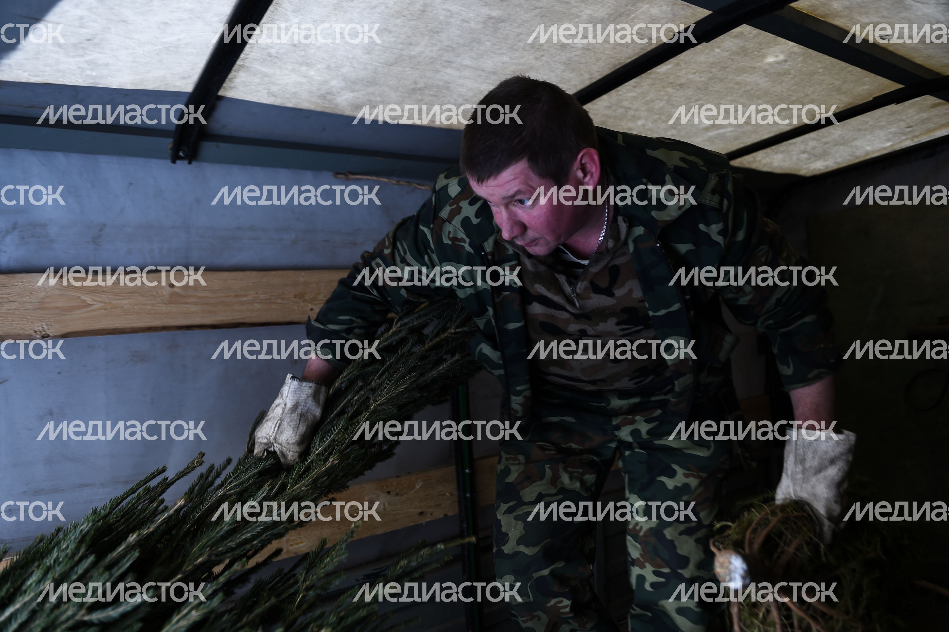 Утилизация елок после Нового года в Москве