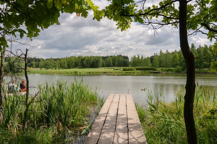 Мещерский парк летом