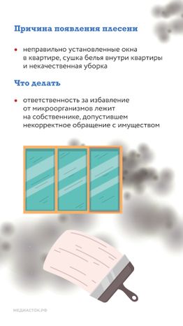 Плесень вертикаль 04