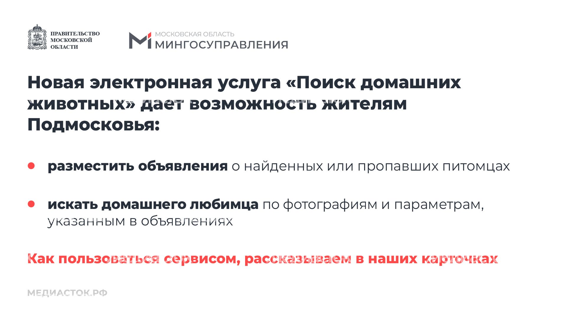 Домашние животные горизонталь 02 Домашние животные горизонталь 02