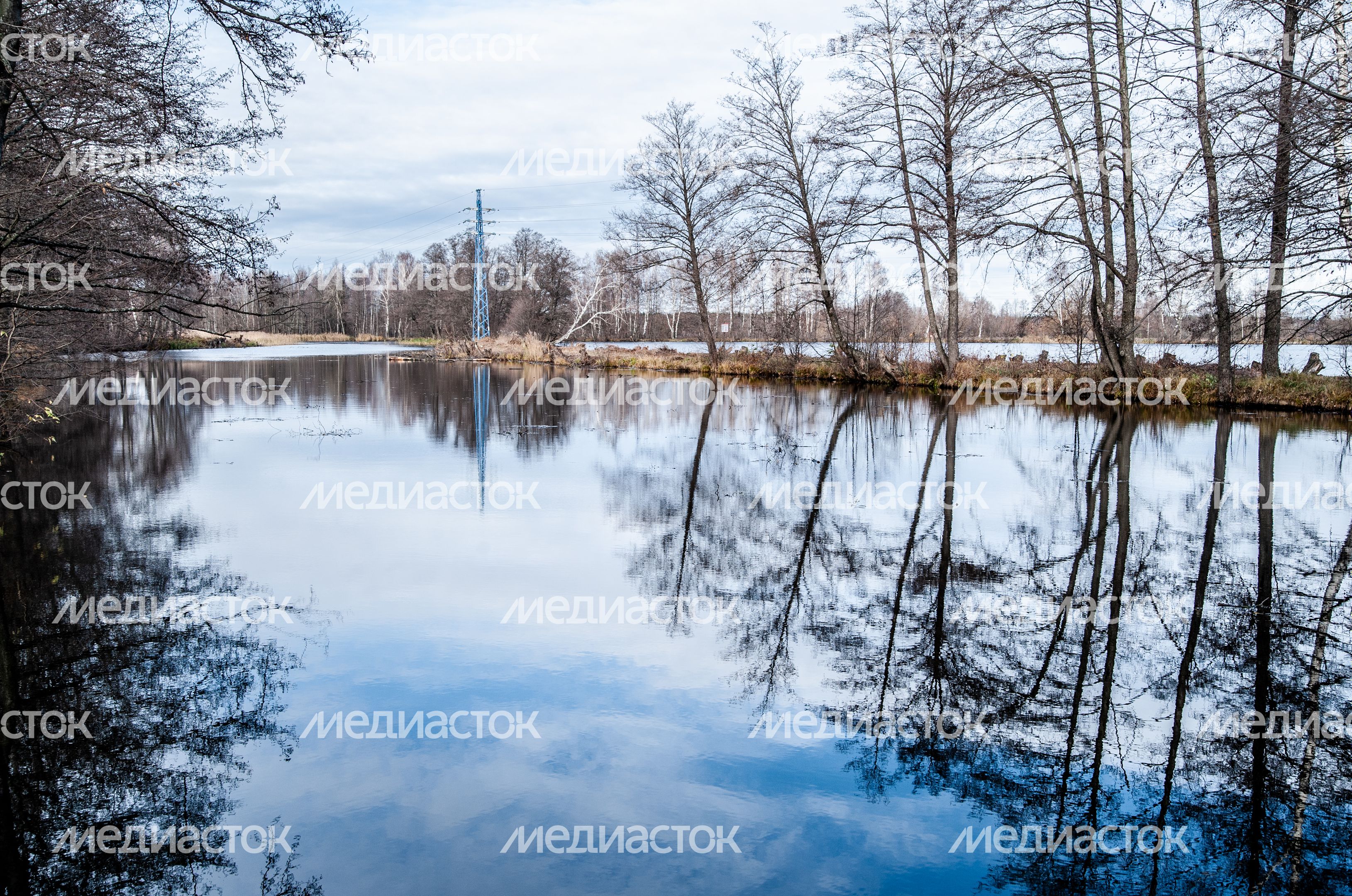 Виды города Электрогорск
