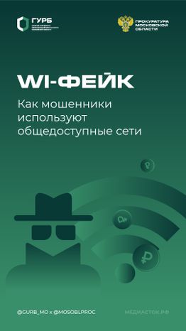 Фейковое подключение вертикаль 02