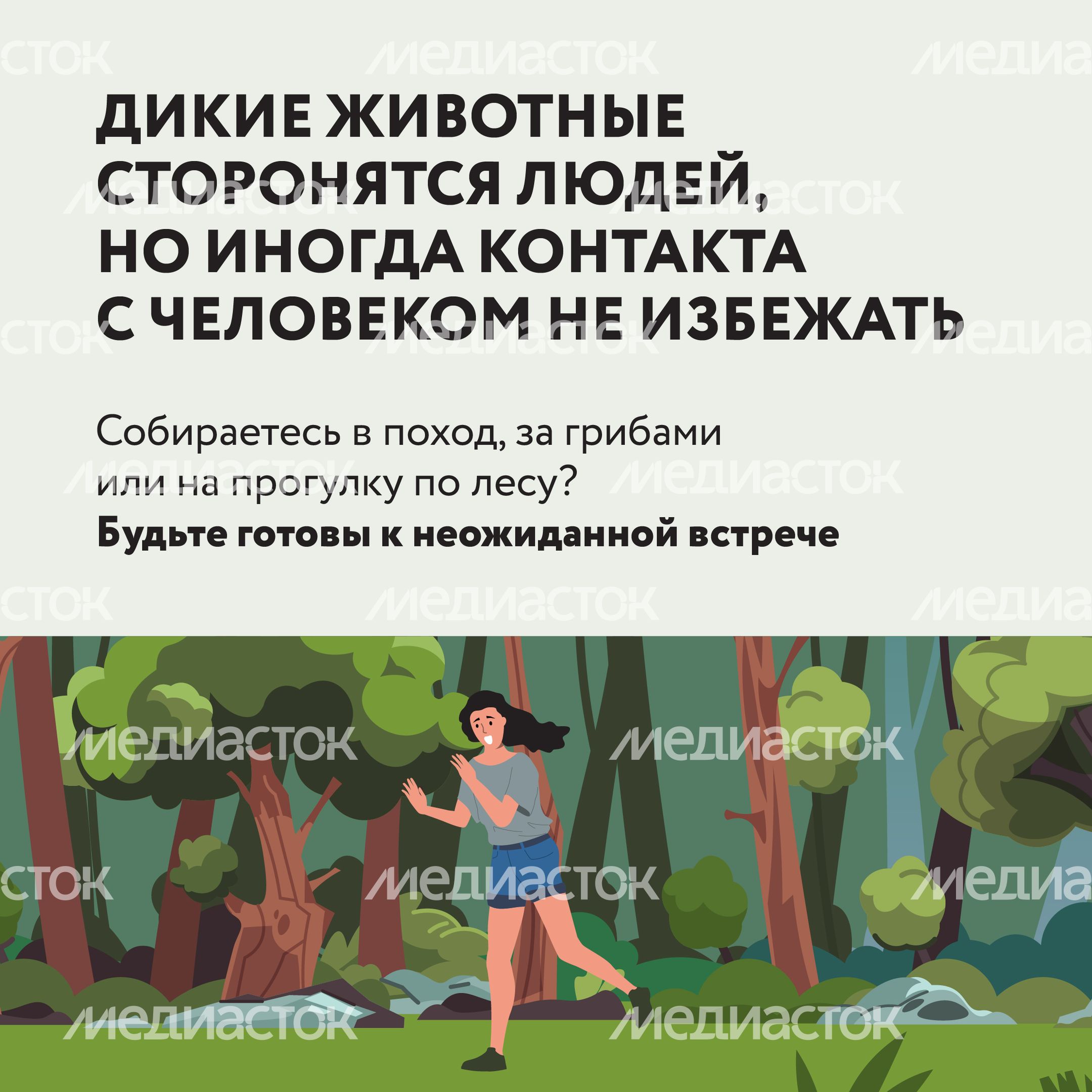 Квадрат Безопасность в лесу 02.jpg