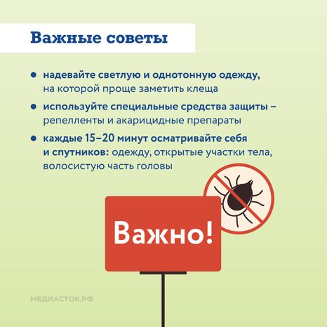 Как защититься от клещей квадрат 06