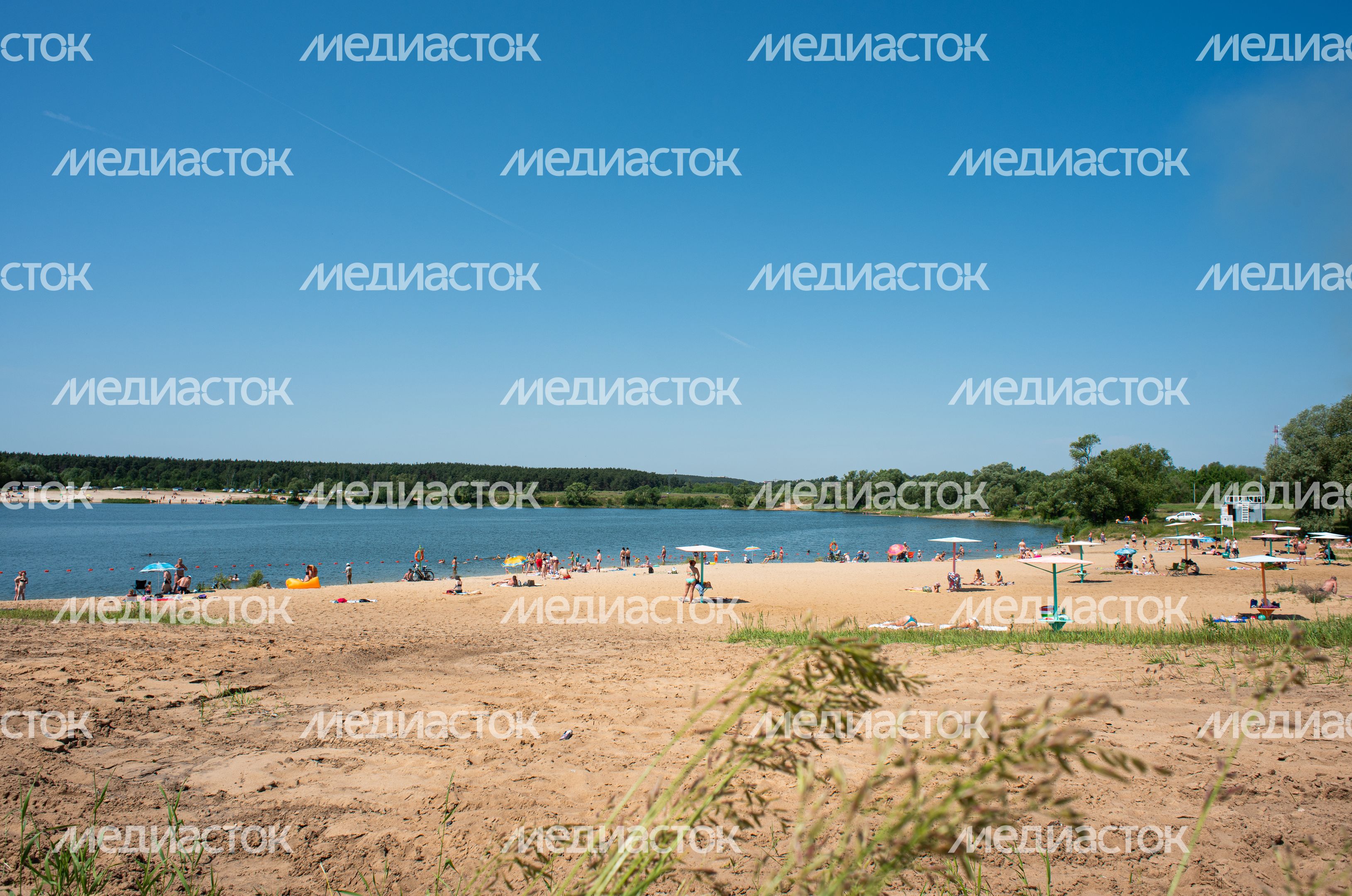 Летние виды Белопесоцкого карьера