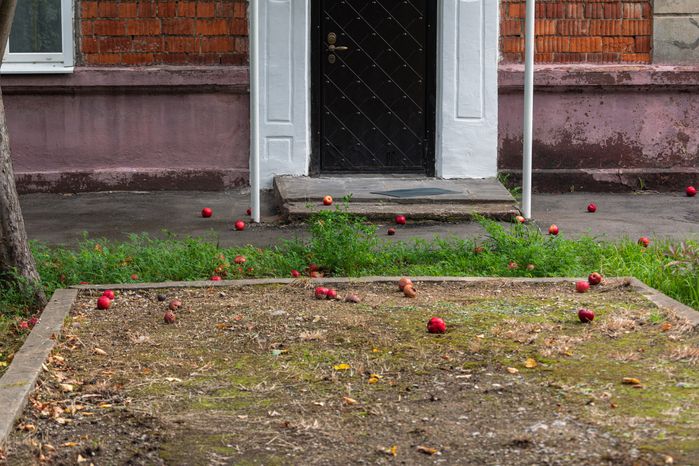 Осенние виды города Видное Ленинского округа
