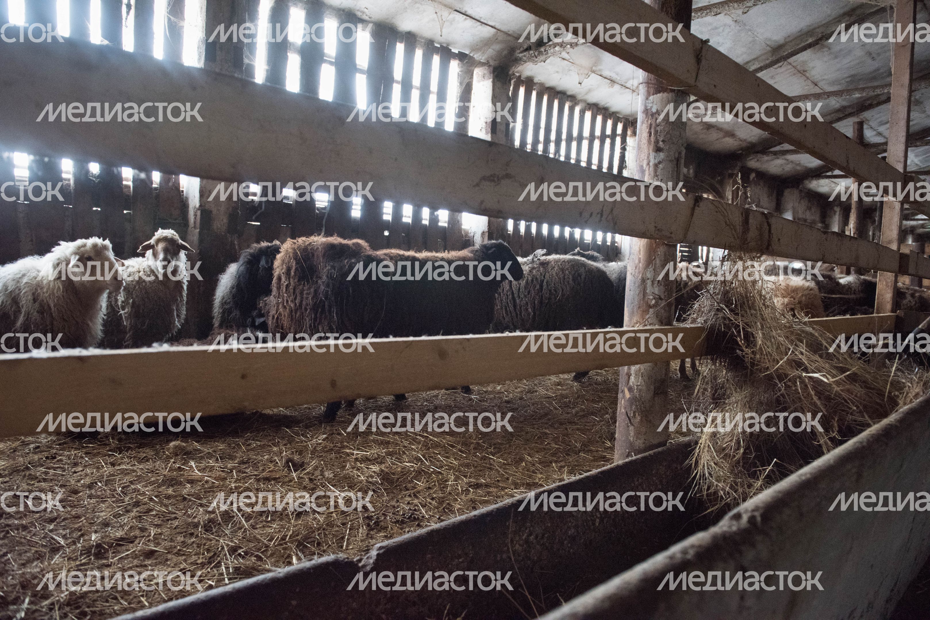Деревня «Марс» в Московской области, 2 часть