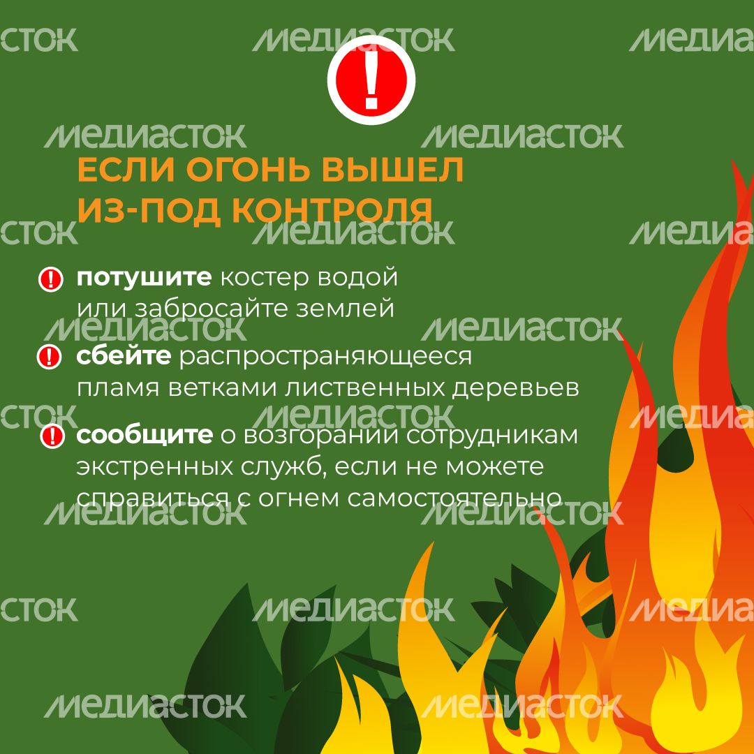 комлесхоз_костер_кв_7.jpg