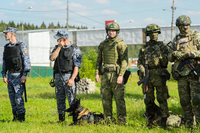 Мытищи. Шолохово. Военно-патриотический фестиваль Фронтовая собака