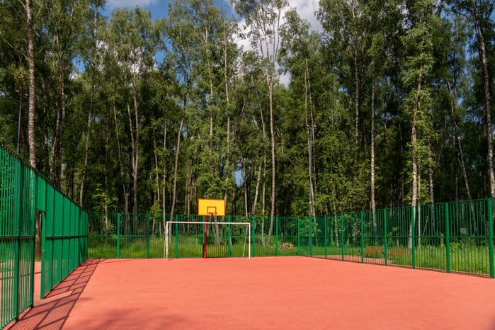 Губернский лесопарк в Чехове летом