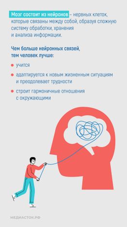 Алкоголь и развитие мозга вертикаль 03