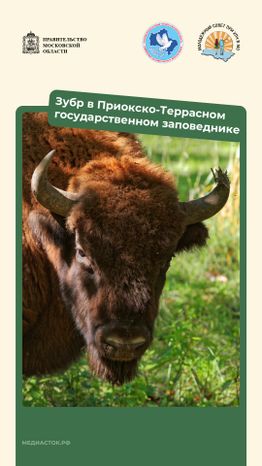 Путешествие по МО вертикаль 04