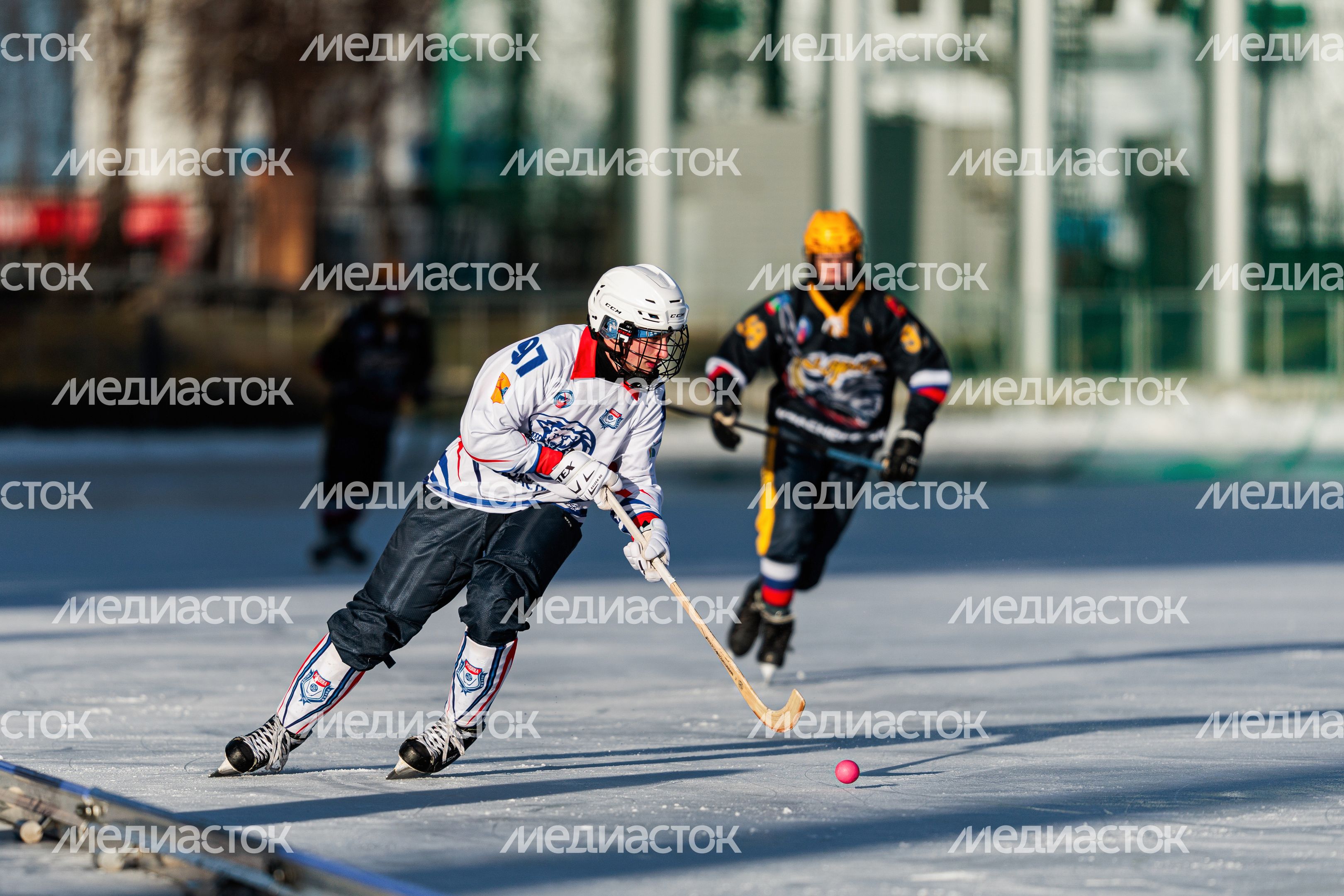 Чемпионат России по хоккею с мячом в Красногорске Чемпионат России по хоккею с мячом в Красногорске