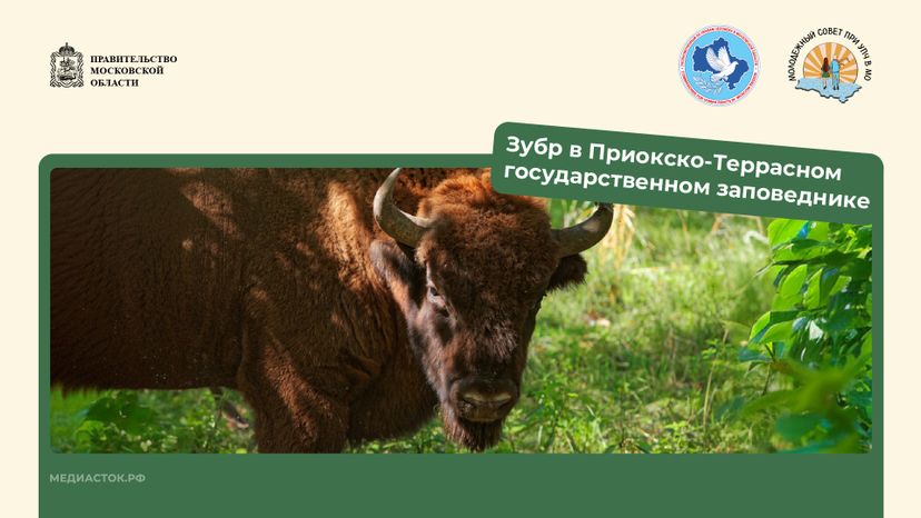 Путешествие по МО горизонталь 04