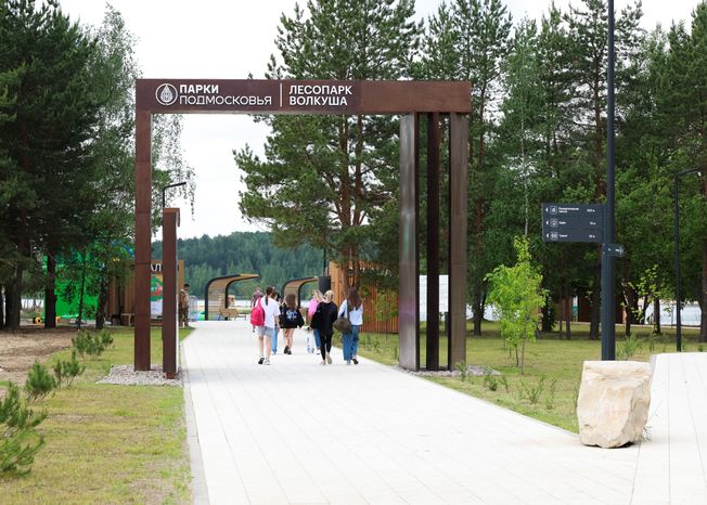 Благоустройство  лесопарка "Волкуша" в Лыткарино