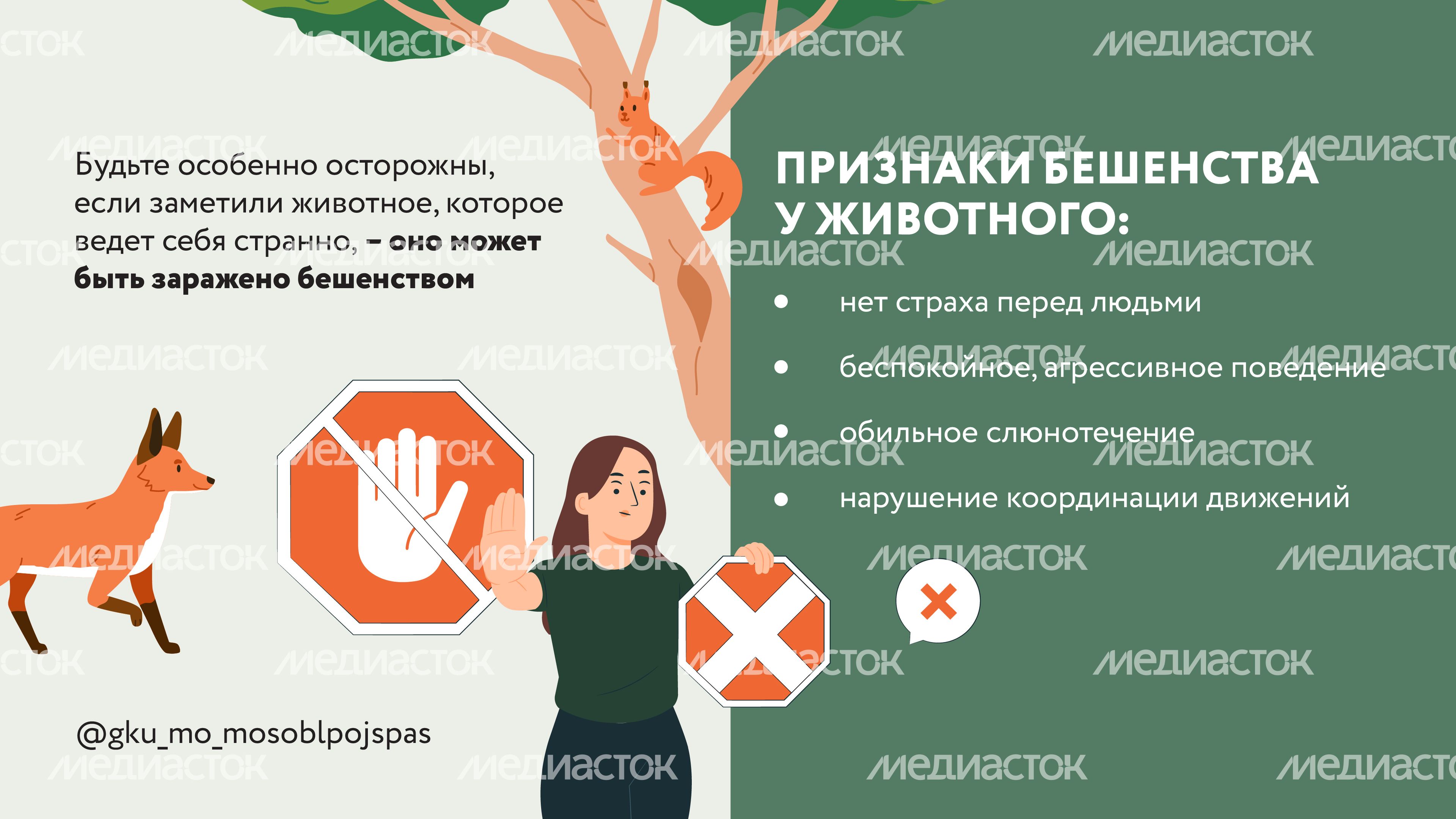 Горизонтали Безопасность в лесу 05.jpg