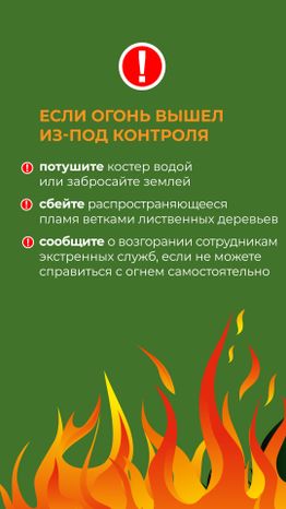 комлесхоз_костер_верт_7.jpg