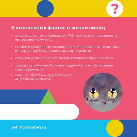синичкин_день_квадрат_10.jpg