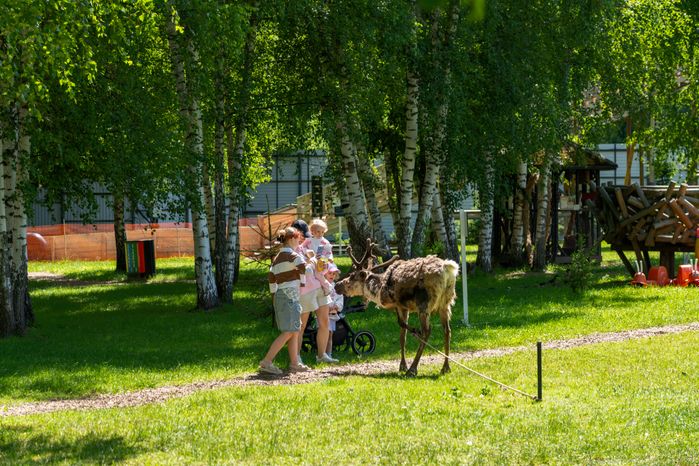Семейная ферма «Цыпарк» - место для отдыха с детьми на природе