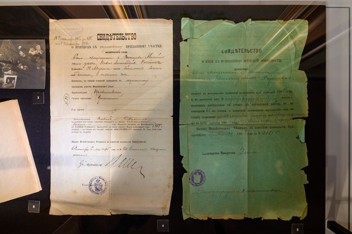 Выставка работ художника Павла Радимова «Полевые псалмы» в Зарайском кремле